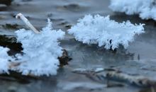 形容失去后后悔的句子