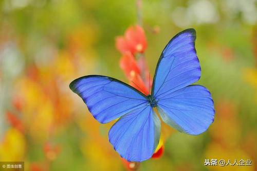 形容无悔的人的句子