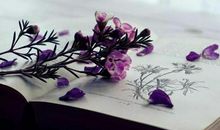 祝你每天开心的句子 祝每天心情快乐的句子