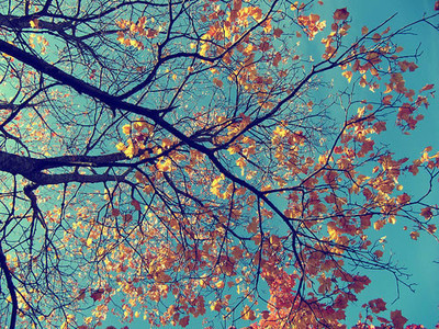 每天都有假装快乐的句子