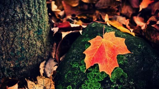 安慰朋友的快乐句子谈论情绪短语希望朋友快乐的句子2