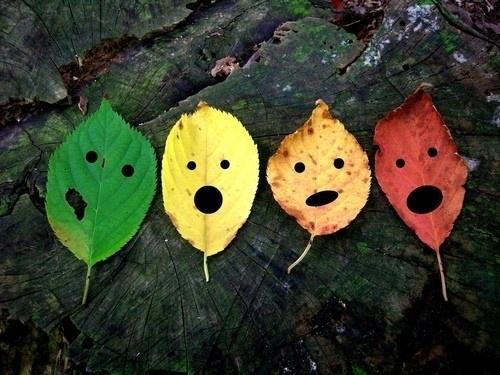 外表快乐的句子是什么？带有快乐外表，幽默和正能量的句子2