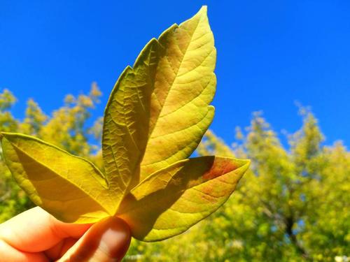 30个单词来描述一个幸福的句子，30个单词来描述一个幸福的心情2