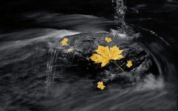 外表快乐的句子是什么？句型外表愉悦，幽默幽默