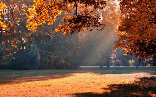 30个单词描述一个快乐的句子A段30个单词描述一个快乐的心情1