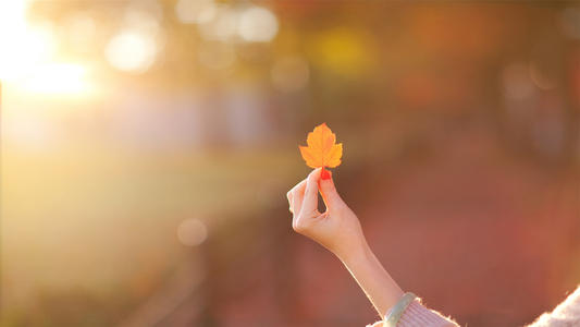 给你的快乐句子给你的快乐美丽句子2