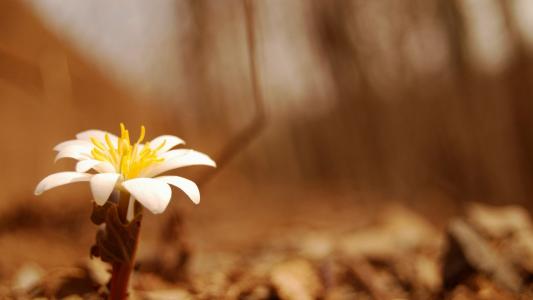 儿童使父母快乐的句子10个使母亲快乐的句子1