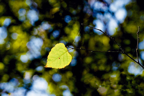 开心和甜蜜的句子短句开心和甜蜜的句子2