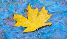 孩子哄父母开心的句子 十句哄妈妈开心的话