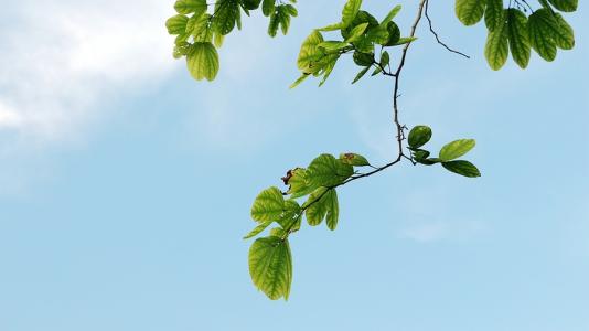 海边快乐句子个性签名海边简短句型1