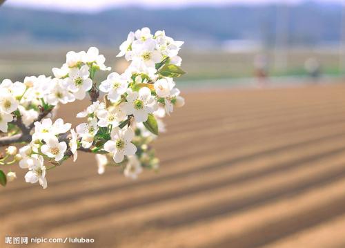 怀旧不愉快的句子怀旧不愉快的句子Short 1