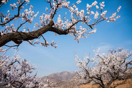 怀念不愉快的句子过去2个简短的不愉快的句子