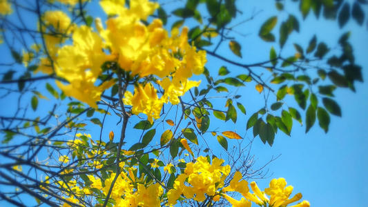 朋友圈中非常不高兴的句子