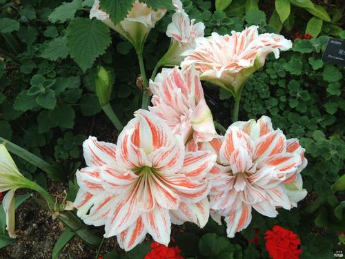 朋友时刻的句子非常不高兴谈论朋友的时刻2