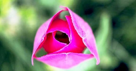 劳动节快乐句子劳动节快乐句子1