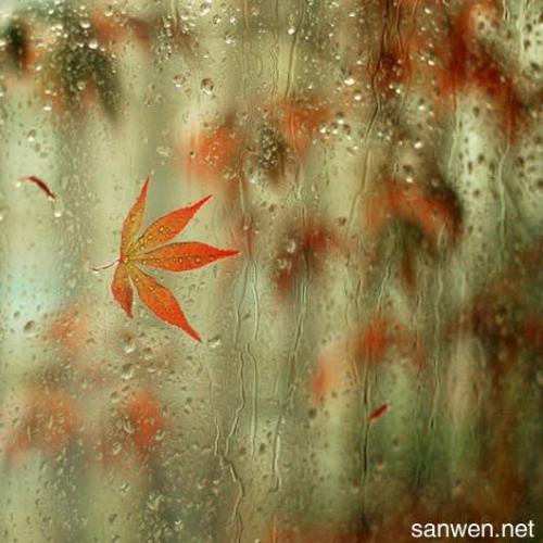 表示遗憾的句子2