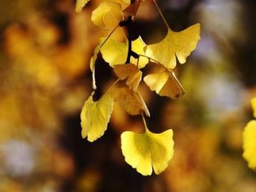 在工作中感到沮丧和沮丧的句子谈论情绪在工作中感到沮丧和沮丧的句子