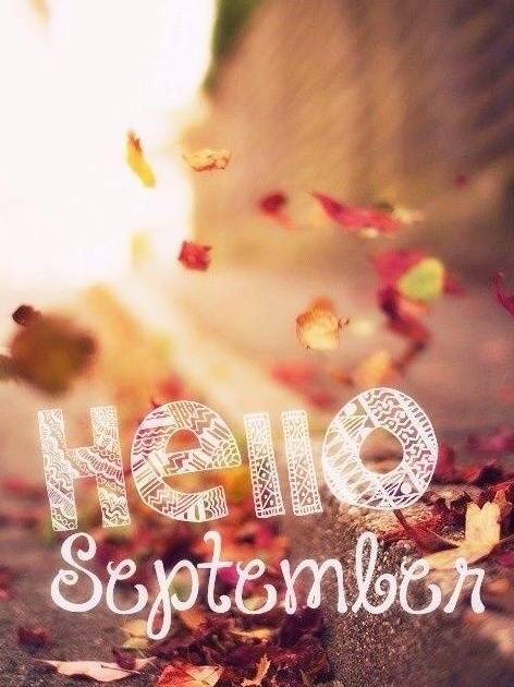 九月你好经典报价1