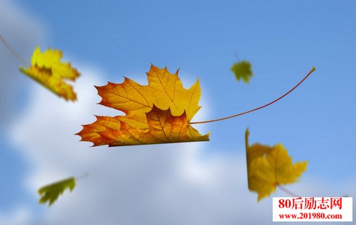 句子不要让别人感到不高兴的句子1