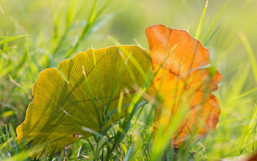 句子不要让别人感到不高兴的句子2