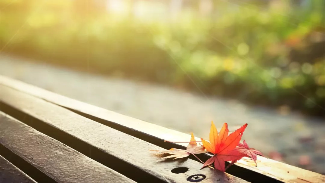 八月见,九月见,九月见,对自己1