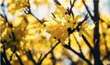 不开心的元宵节句子 元宵节感悟