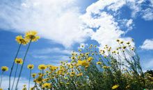 写群开心聊天热闹的句子 写群里聊天开心的句子