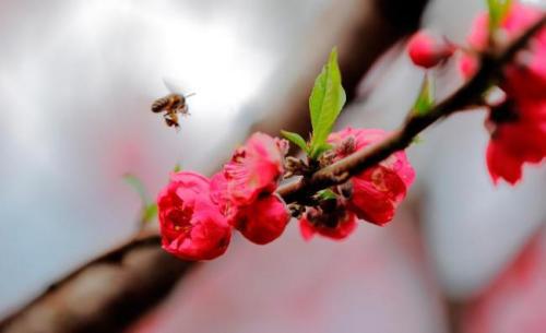 快乐中的一句话快乐中的一句话2