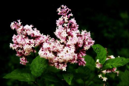 写一组快乐的聊天句子写一组快乐的聊天句子1