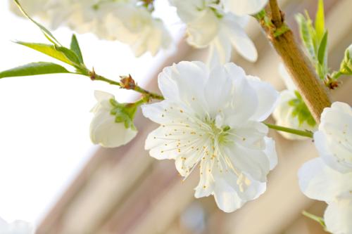 开心乐句完整集开心乐句结尾1