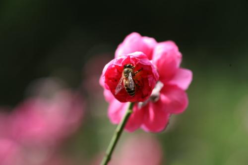 写快乐的群聊和生动的句子写快乐的群聊句子2