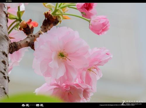 快乐作文完整集快乐作文2结尾