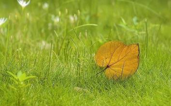 赞美他人生活幸福的句子赞美他人生活幸福的句子1
