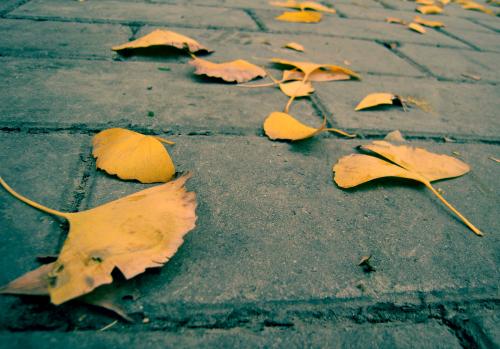 赞美别人生活幸福的句子赞美别人生活幸福的句子