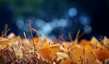 有关老人开心的句子 形容老人开心笑的句子