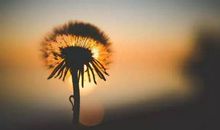 其中心酸自己体会的句子