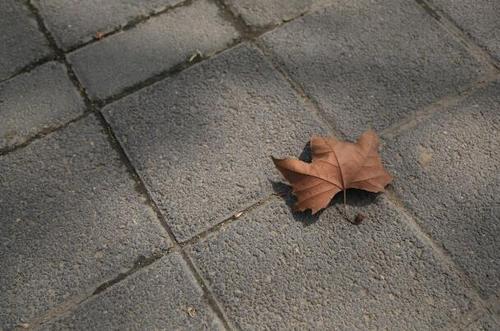 用悲伤的句子掩饰幸福1