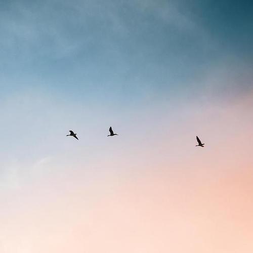 为生命而战的悲伤句子，谈论情绪2