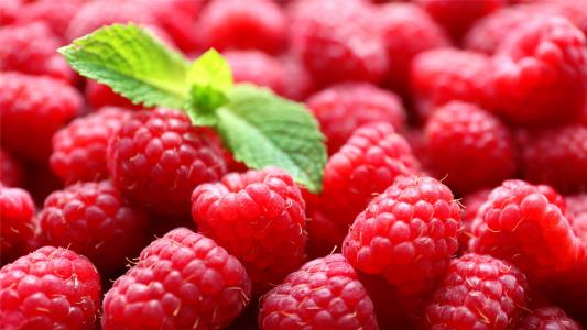 快乐的一天句子快乐的每一天句子2