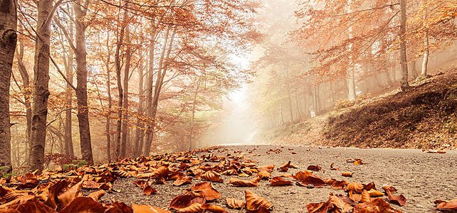 什么样的句子不开心?一句话表达不快乐2