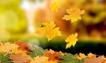 不开心又怎样的句子 一句话表达不开心