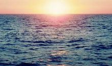 名人励志的句子大全