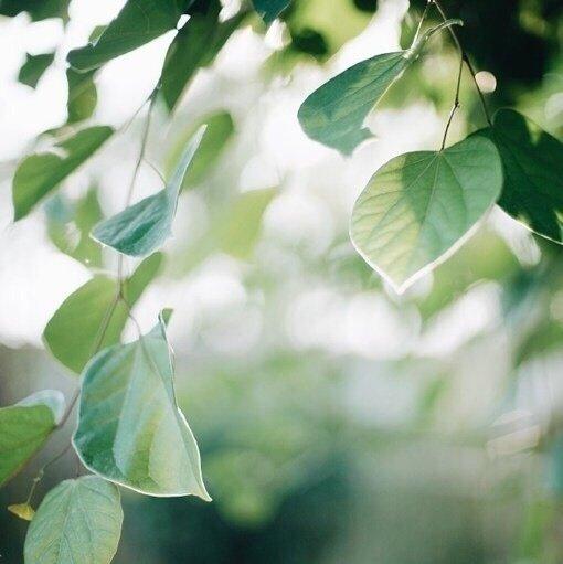 谢谢你为你的心情而悲伤的一句话1