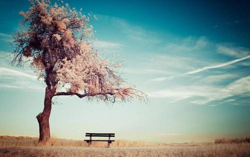 单身身心痛苦和悲伤的句子2