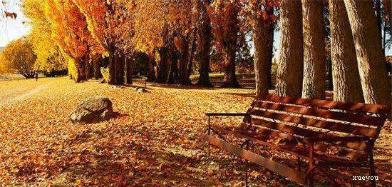 用来形容称赞一个男人养育一个家庭的悲伤的句子1