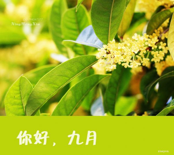 您好,9月,可能所有美好的事情都出乎意料了,所有的运气都会如期实现