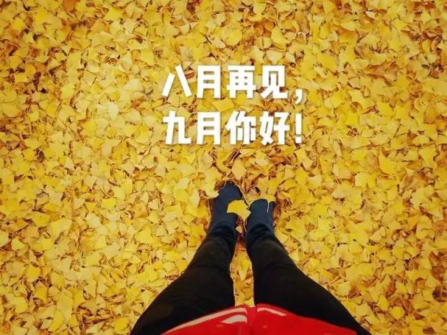 您好9月,请发送8月至9月的句子