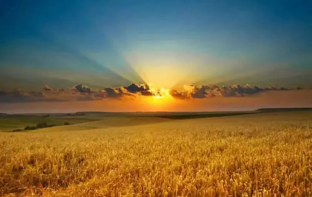 一句话描述秋天，美丽，丰收季节1