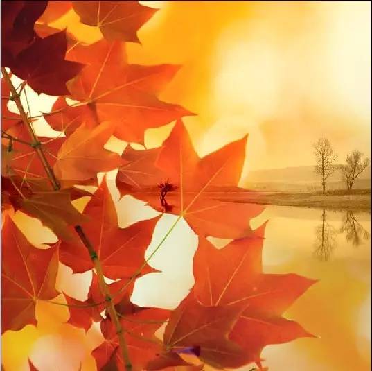 一句话描述秋天是美丽的收获季节