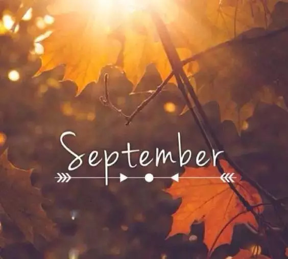 您好9月5月所有的好事都如期而至1